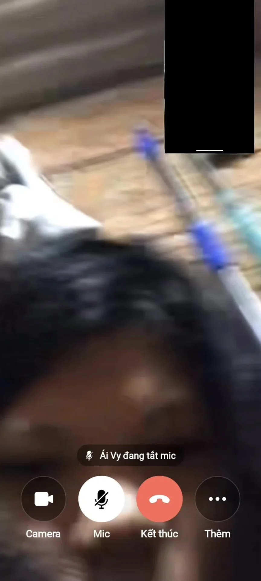 Em Ái Vy dâm đảng