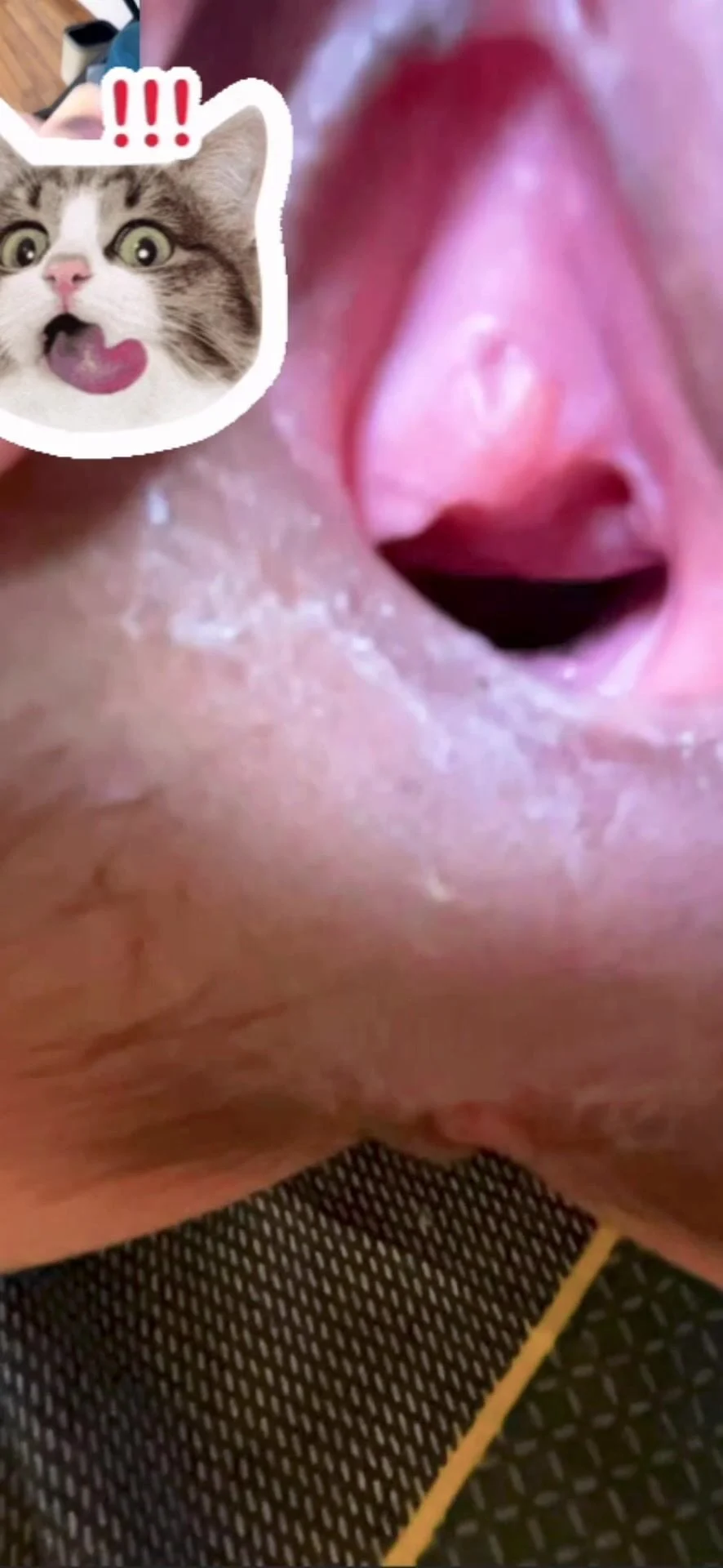 Hành trình yêu xa với em người yêu mình dây lồn múp